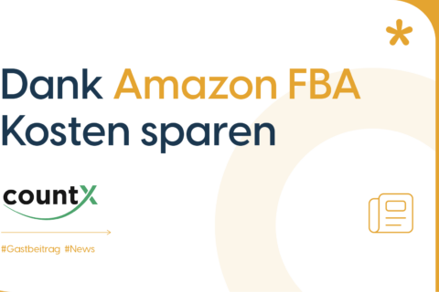 Headerbild für Blog "Dank Amazon FBA Kosten sparen"