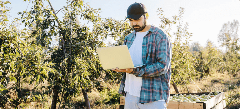 Landwirt steht im Obstgarten und arbeitet auf einem Laptop, neben einer Kiste voller frisch geernteter Äpfel.